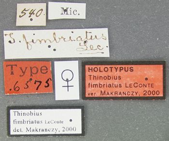 Media type: image;   Entomology 6575 Aspect: labels
